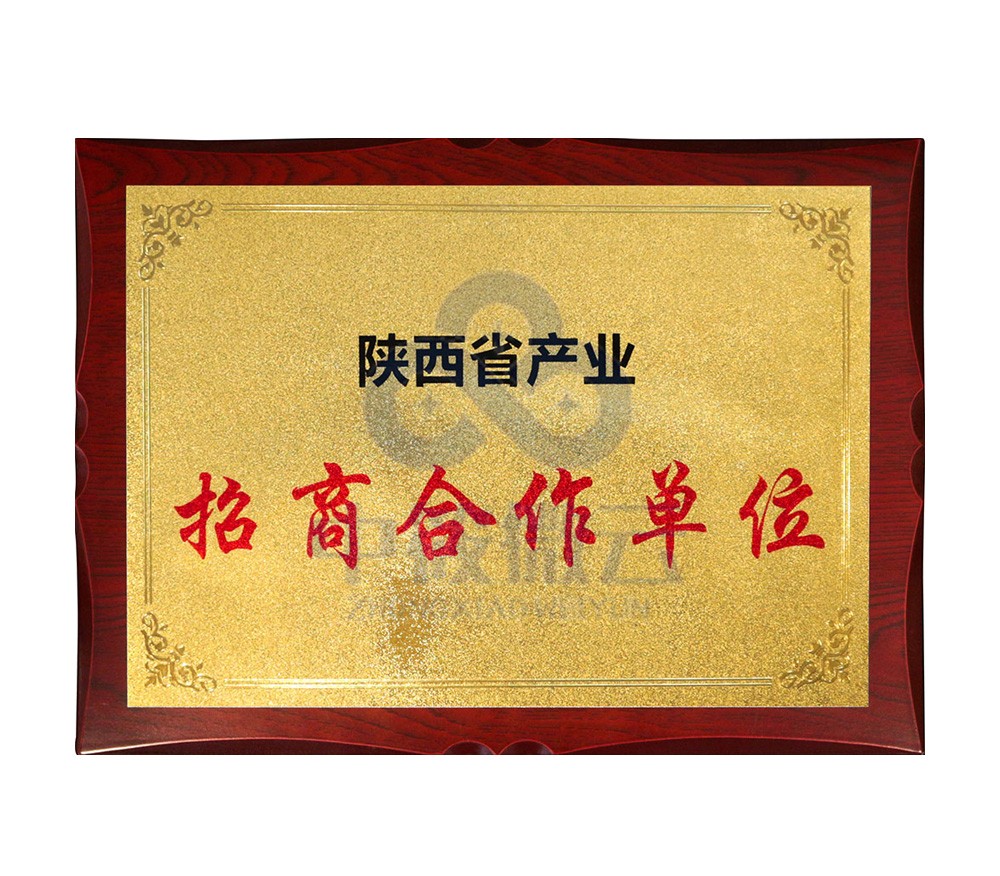 中筱微云企业服务